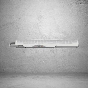 Lampe